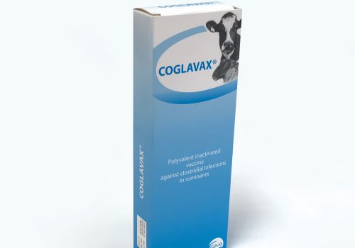 Coglavax